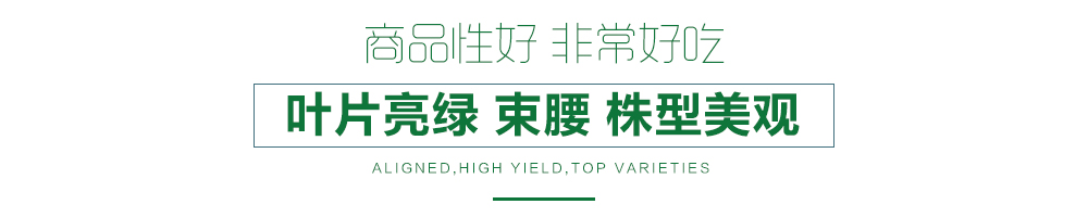 1557817752859151.jpg 詳情頁(yè)12.jpg