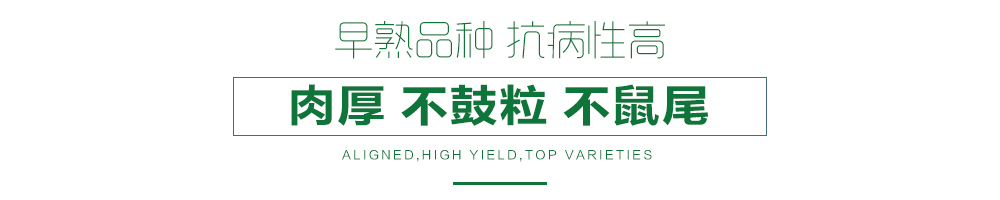 1557990345387928.jpg 詳情頁(yè)23.jpg