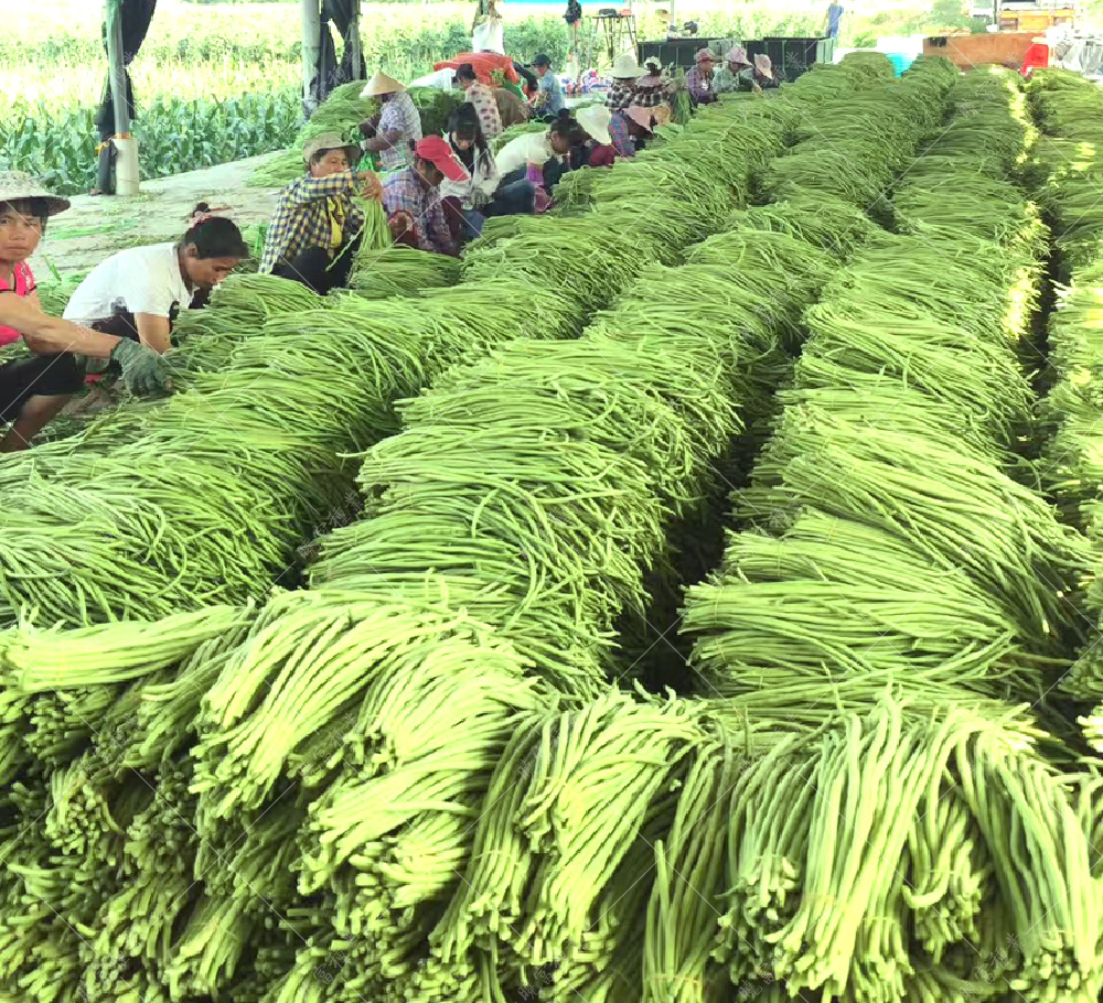 1557993316501281.jpg 54.jpg