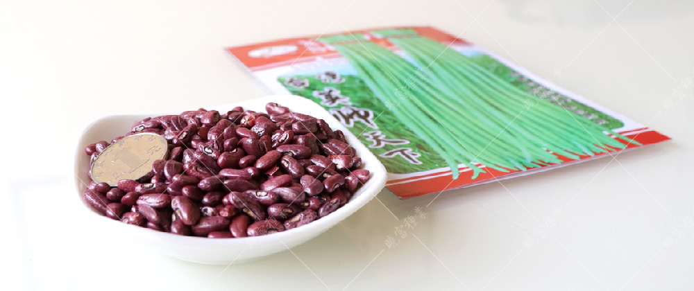 1557994018594714.jpg 50.jpg