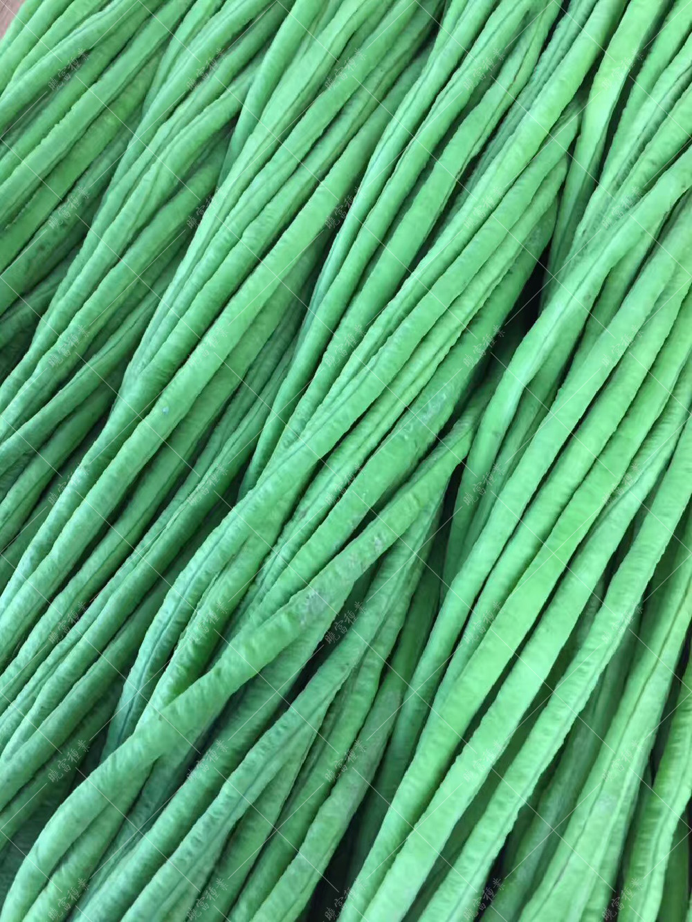 1558055751240615.jpg 383574231535630634.jpg