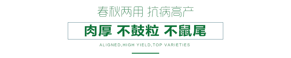 1558057227758072.jpg 詳情頁21.jpg