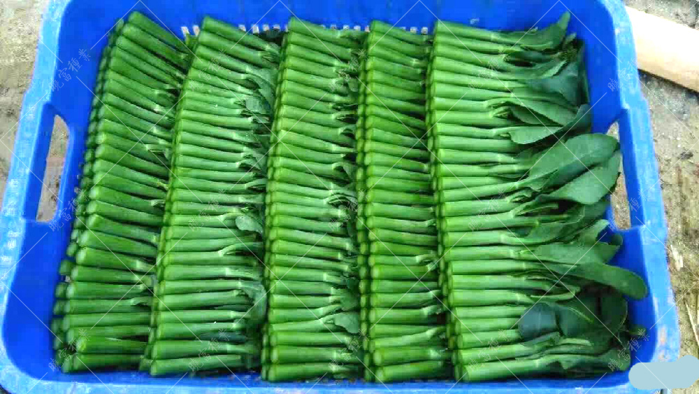 1558577930353560.jpg c9b36e5e3530a676a7e4cc40ee1610c.jpg