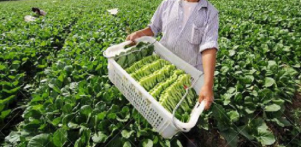 1558591603490039.jpg timg (12).jpg