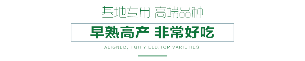 1558596946501815.jpg 詳情頁7.jpg