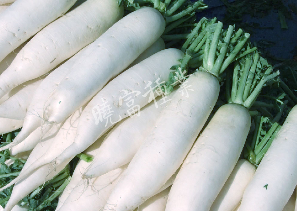 1585788400954307.jpg 02.jpg