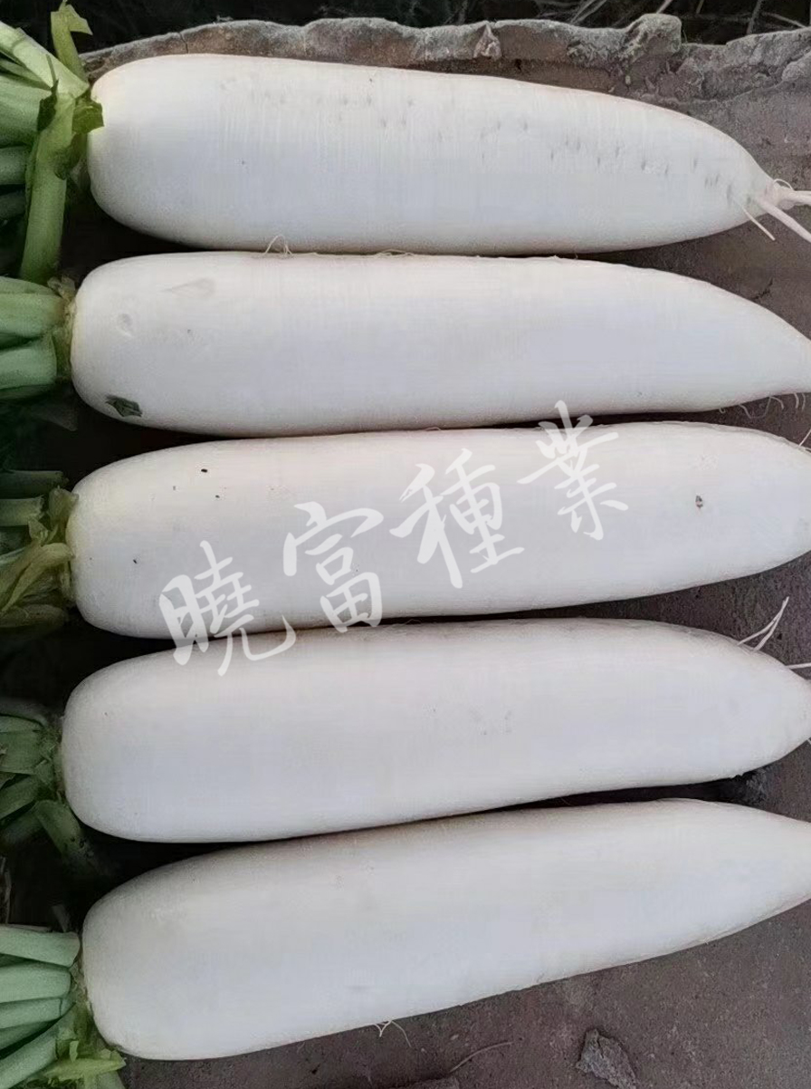 1585789998198863.jpg 02.jpg