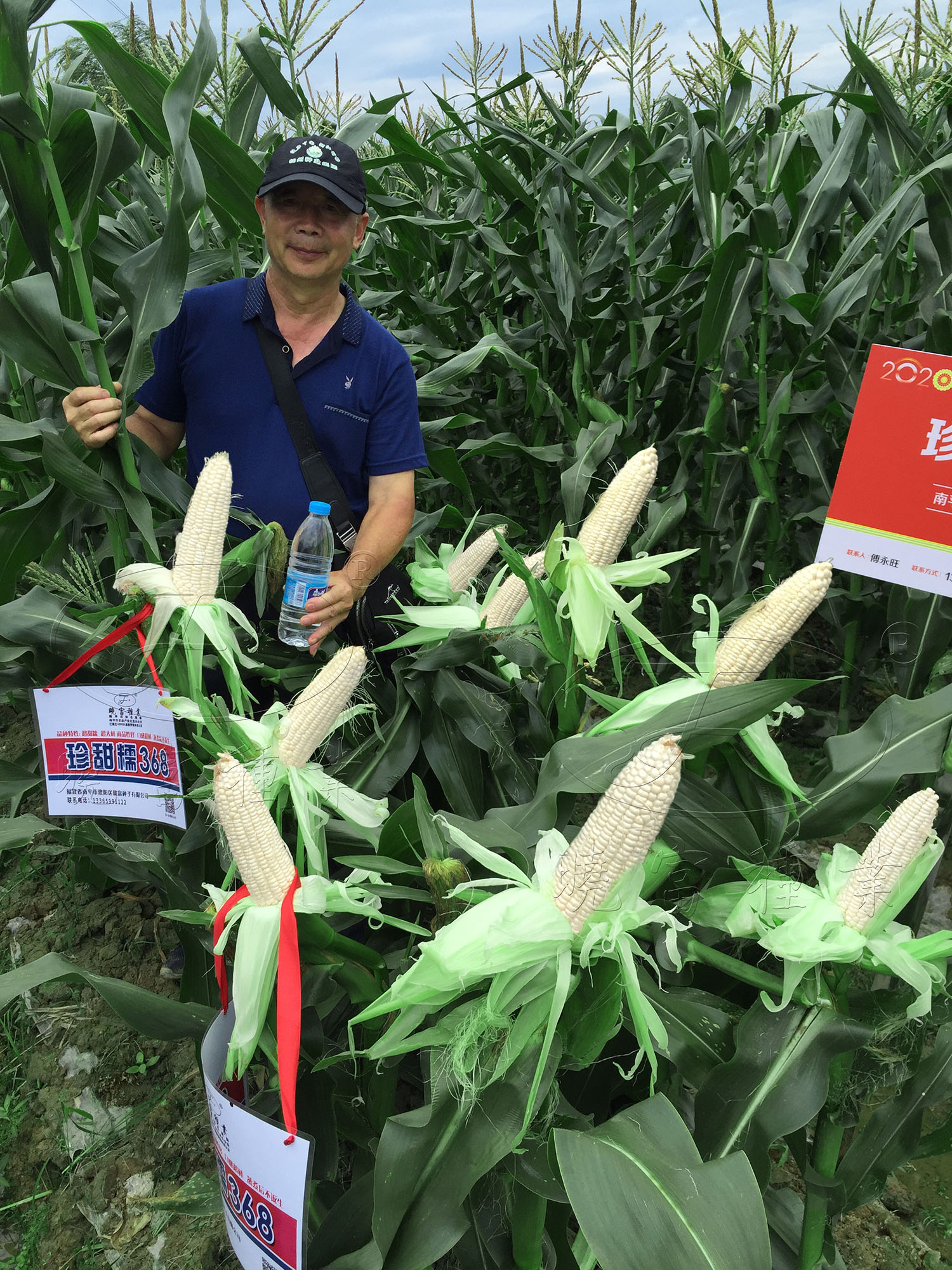 1594543045142106.jpg 5.jpg